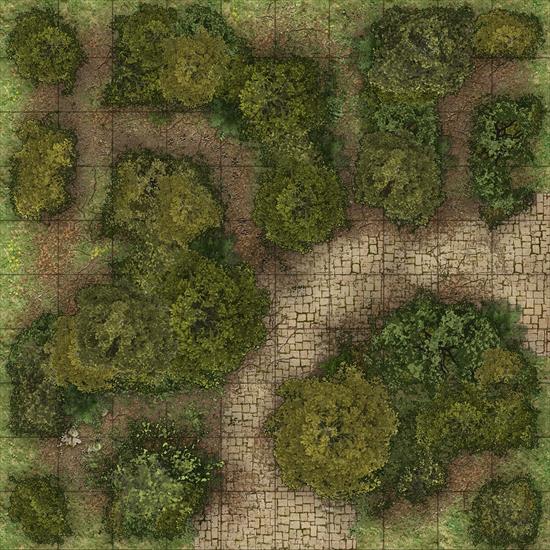 Fort Crabclaw - HeroicMaps_ForestRoads_2_grid.jpg