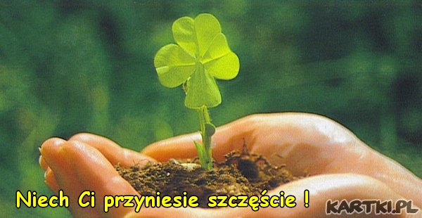 KONICZYNKA NA SZCZĘŚCIE - niech_ci_przyniesie_szczescie_0.jpg